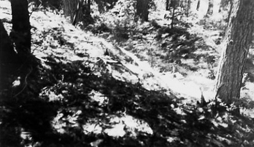 Click to see PIC 1-B 161-1 of Miscellaneous Photos (PIC 1-B)