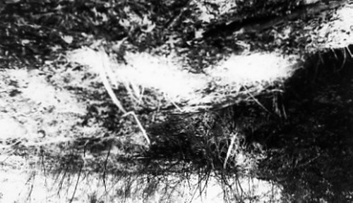 Click to see PIC 1-B 161-2 of Miscellaneous Photos (PIC 1-B)