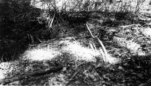 Click to see PIC 1-B 161-3 of Miscellaneous Photos (PIC 1-B)