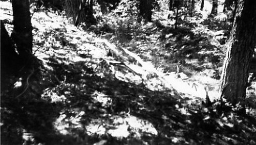 Click to see PIC 1-B 161-4 of Miscellaneous Photos (PIC 1-B)