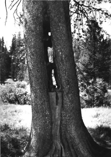 Click to see PIC 1-C 15 of Miscellaneous Photos (PIC 1-C)