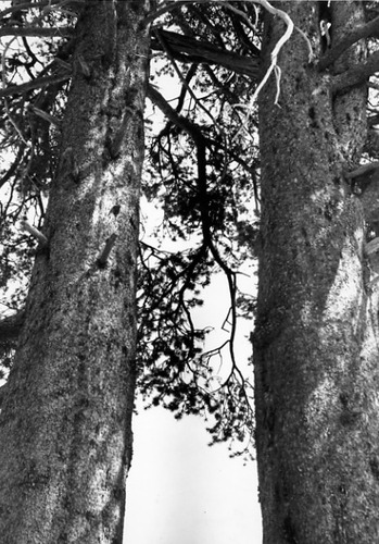 Click to see PIC 1-C 16 of Miscellaneous Photos (PIC 1-C)