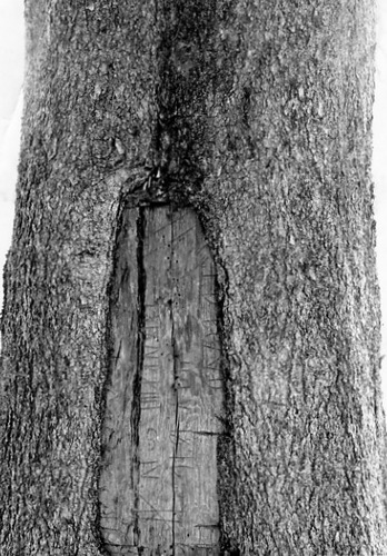 Click to see PIC 1-C 18 of Miscellaneous Photos (PIC 1-C)