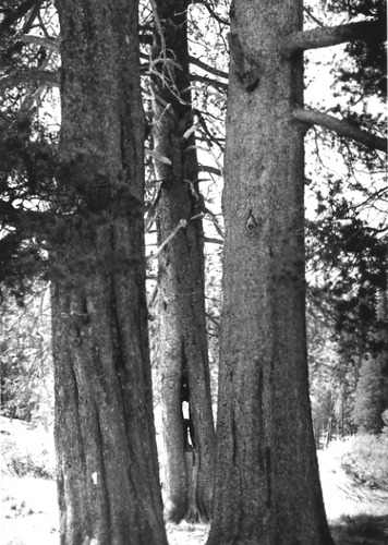 Click to see PIC 1-C 19 of Miscellaneous Photos (PIC 1-C)