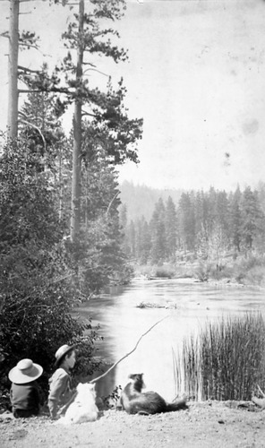 Click to see PIC 1-C 36 of Miscellaneous Photos (PIC 1-C)