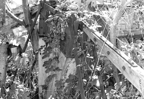 Click to see PIC 1-C 44 of Miscellaneous Photos (PIC 1-C)