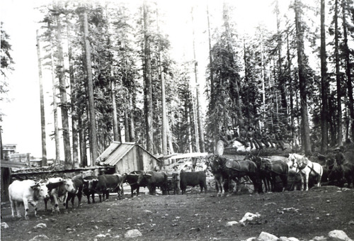Click to see PIC 1-C 65 of Miscellaneous Photos (PIC 1-C)