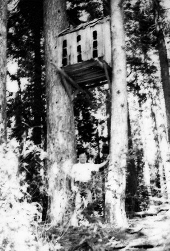 Click to see PIC 1-C 74-1 of Miscellaneous Photos (PIC 1-C)