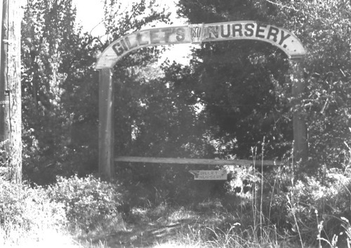 Click to see PIC 1-C 75 of Miscellaneous Photos (PIC 1-C)