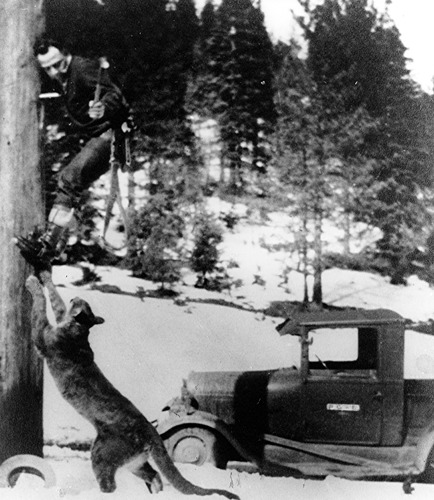 Click to see PIC 1-C 113 of Miscellaneous Photos (PIC 1-C)