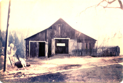 Click to see PIC 1-C 131 of Miscellaneous Photos (PIC 1-C)