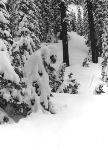 Click to see PIC 2-A 30 of Miscellaneous Photos (PIC 2-A)