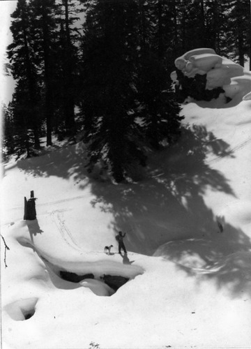 Click to see PIC 2-A 31 of Miscellaneous Photos (PIC 2-A)