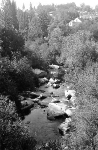Click to see PIC 2-B 6 of Miscellaneous Photos (PIC 2-B)