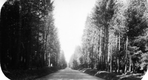 Click to see PIC 2-B 7 of Miscellaneous Photos (PIC 2-B)