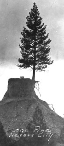 Click to see PIC 2-B 12 of Miscellaneous Photos (PIC 2-B)