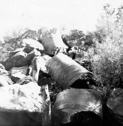 Click to see PIC 2-B 26 of Miscellaneous Photos (PIC 2-B)