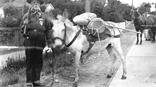 Click to see PIC 2-B 35 of Miscellaneous Photos (PIC 2-B)