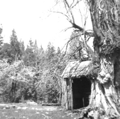 Click to see PIC 2-B 55 of Miscellaneous Photos (PIC 2-B)