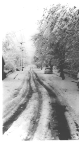 Click to see PIC 2-C 3-5 of Miscellaneous Photos (PIC 2-C)