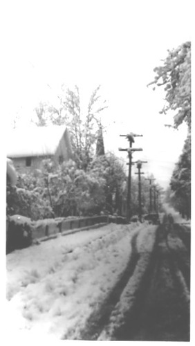Click to see PIC 2-C 3-6 of Miscellaneous Photos (PIC 2-C)