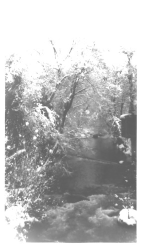 Click to see PIC 2-C 3-7 of Miscellaneous Photos (PIC 2-C)