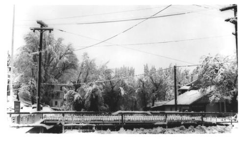 Click to see PIC 2-C 3-8 of Miscellaneous Photos (PIC 2-C)