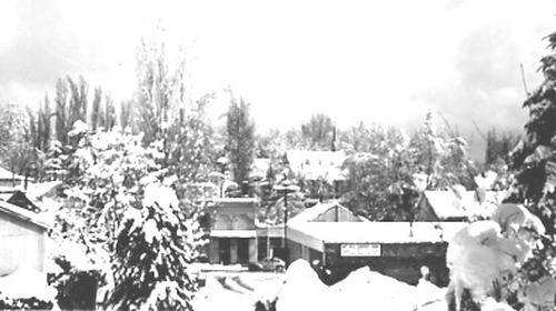 Click to see PIC 2-C 3-13 of Miscellaneous Photos (PIC 2-C)