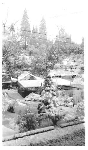Click to see PIC 2-C 3-14 of Miscellaneous Photos (PIC 2-C)