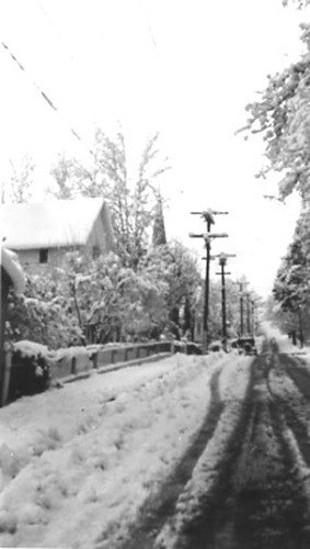 Click to see PIC 2-C 3-15 of Miscellaneous Photos (PIC 2-C)