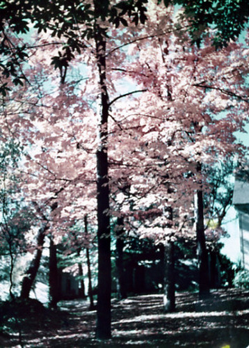 Click to see PIC 2-C 7-3 of Miscellaneous Photos (PIC 2-C)