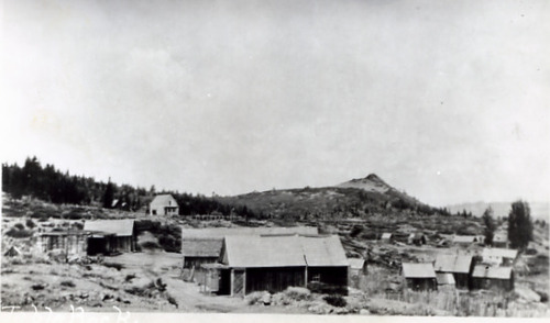 Click to see PIC 2-C 12 of Miscellaneous Photos (PIC 2-C)