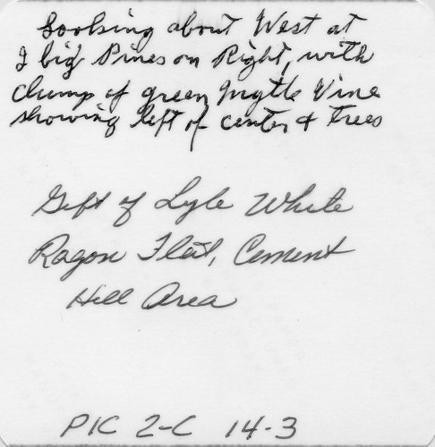 Back of Photo
