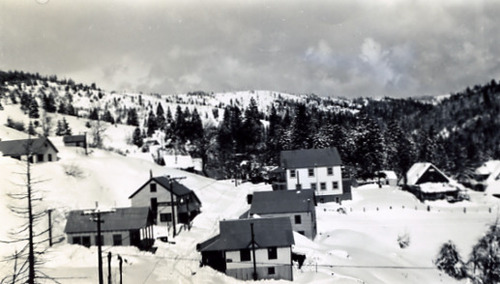 Click to see PIC 2-C 15 of Miscellaneous Photos (PIC 2-C)