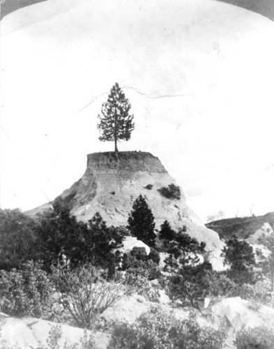 Click to see PIC 2-C 17 of Miscellaneous Photos (PIC 2-C)