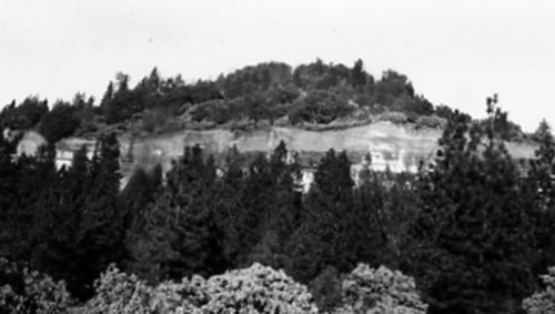 Click to see PIC 2-C 22-5 of Miscellaneous Photos (PIC 2-C)