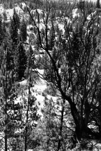 Click to see PIC 2-C 22-9 of Miscellaneous Photos (PIC 2-C)