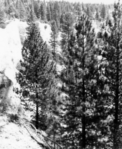 Click to see PIC 2-C 22-10 of Miscellaneous Photos (PIC 2-C)