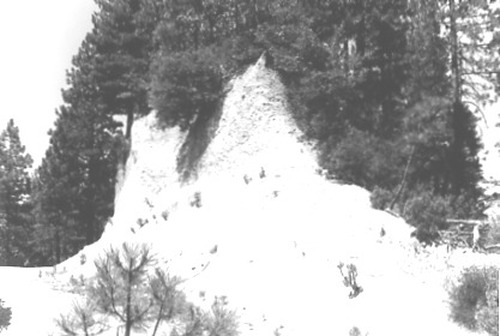 Click to see PIC 2-C 22-11 of Miscellaneous Photos (PIC 2-C)
