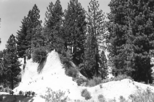 Click to see PIC 2-C 22-12 of Miscellaneous Photos (PIC 2-C)
