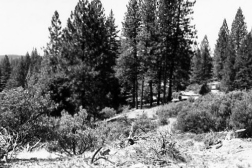 Click to see PIC 2-C 22-14 of Miscellaneous Photos (PIC 2-C)