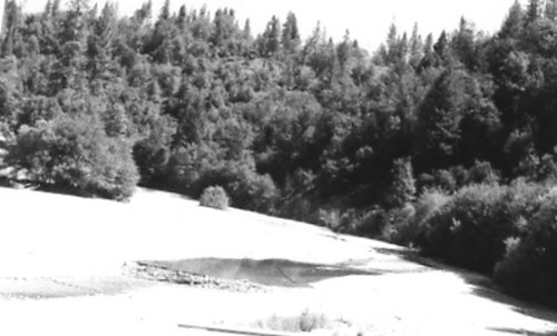 Click to see PIC 2-C 22-15 of Miscellaneous Photos (PIC 2-C)