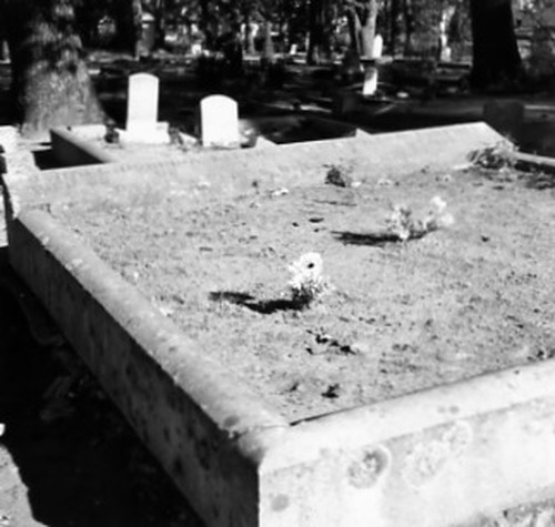 Click to see PIC 2-C 25-2 of Miscellaneous Photos (PIC 2-C)