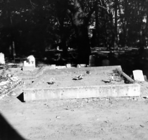 Click to see PIC 2-C 25-8 of Miscellaneous Photos (PIC 2-C)