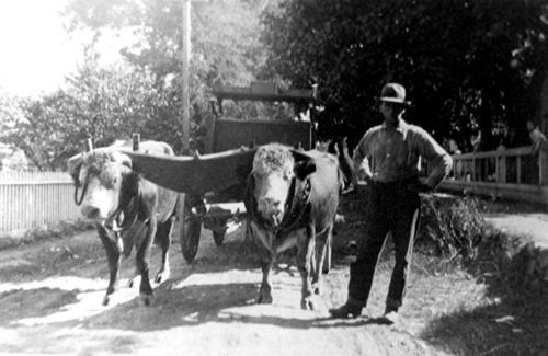 Click to see PIC 2-C 43 of Miscellaneous Photos (PIC 2-C)