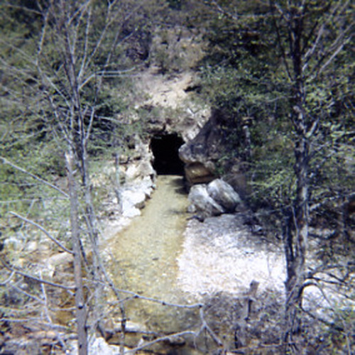 Click to see PIC 2-D 5 of Miscellaneous Photos (PIC 2-D)