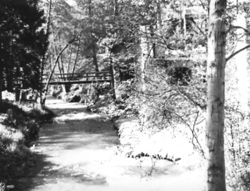 Click to see PIC 2-D 23 of Miscellaneous Photos (PIC 2-D)