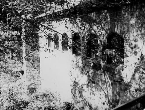 Click to see PIC 2-D 24 of Miscellaneous Photos (PIC 2-D)