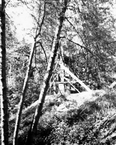 Click to see PIC 2-D 37 of Miscellaneous Photos (PIC 2-D)