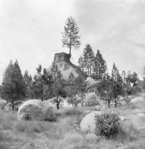 Click to see PIC 2-D 47 of Miscellaneous Photos (PIC 2-D)